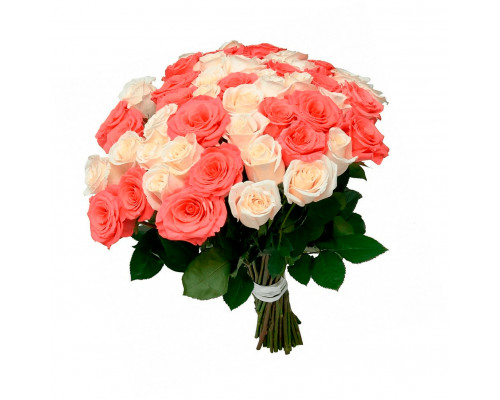 Розы Эквадор микс бело-персиковый