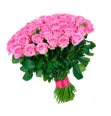 Розы Эквадор розовые