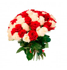 Розы Эквадор микс бело-красный