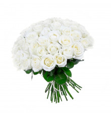 Розы Эквадор белые