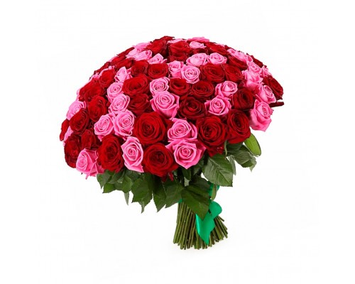 Розы Россия микс красно-розовый
